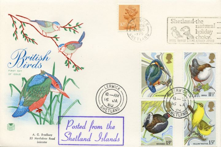 British Birds 1980, Shetland Islands