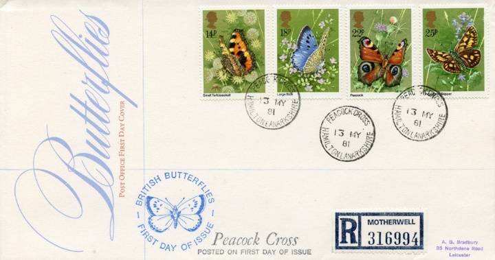 Butterflies, Peacock Cross