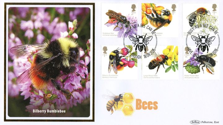 Bees, Bilberry Bumblebee