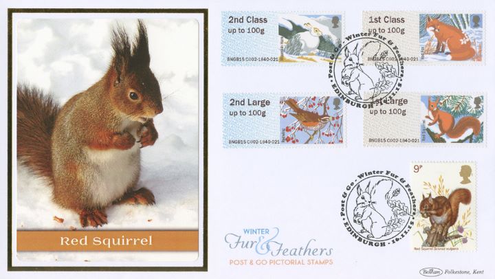 Winter Fur & Feathers, Red Squirrel