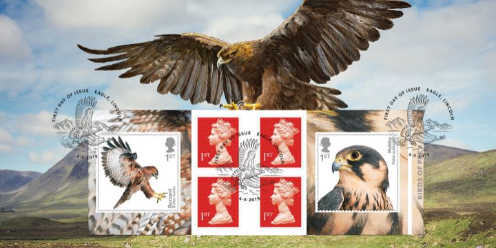 Self Adhesive: Birds of Prey, Eagle in Highlands