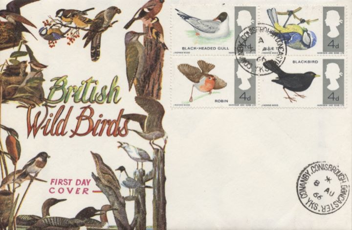 British Birds, Birds