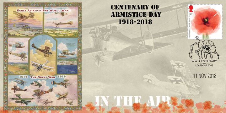 Armistice Day Centenary, Early World War Aircraft