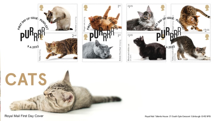 Cats, Eight puuring Cats