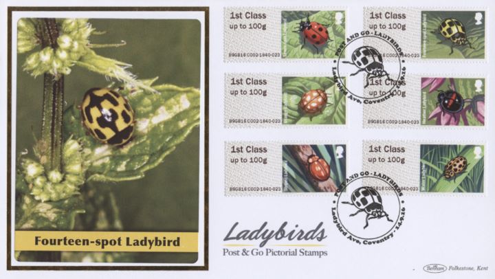 Ladbybirds, Fourteen Spot Ladybird