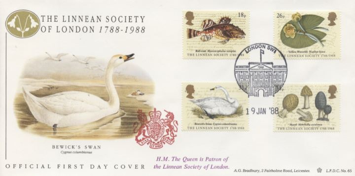 Linnean Society, Swan