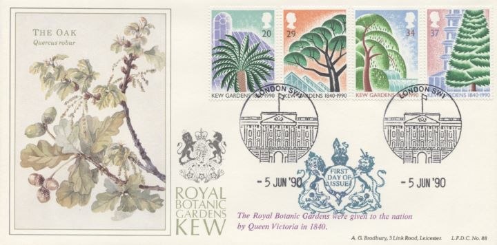 Kew Gardens, The Oak