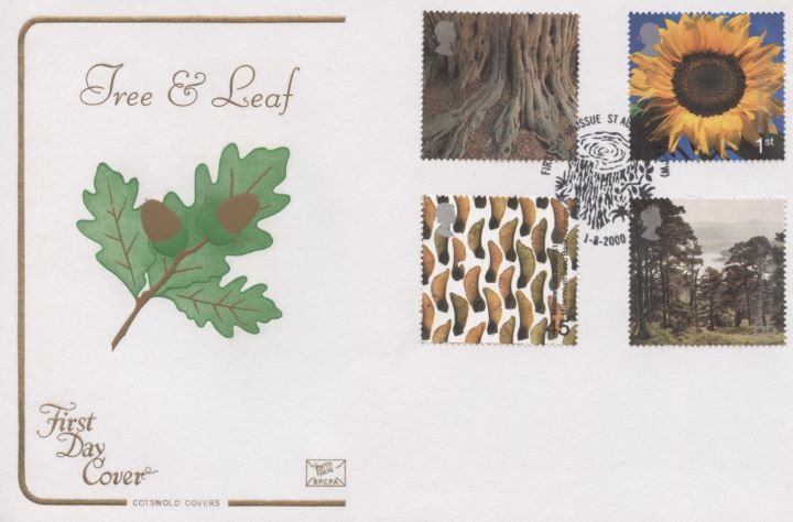 Tree & Leaf, Acorn