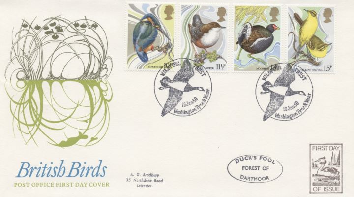 British Birds 1980, Collect British Stamps