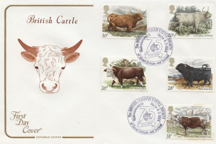 British Cattle, Bull