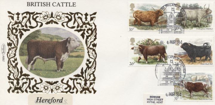 British Cattle, Hereford