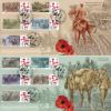 Horses of the Great War
The Great War 1914-1918