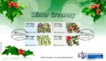 British Flora: Series No.3, Winter Greenery
Holly and Berries