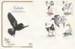 Sea Birds
Storm Petrel - Britain's Smallest Seabird