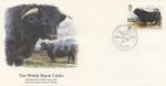 British Cattle
The Welsh Black Cattle