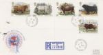 British Cattle
CDS Postmarks