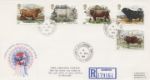 British Cattle
CDS Postmarks