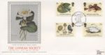 Linnean Society
White Waterlily