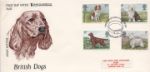 British Dogs
Irish Setter