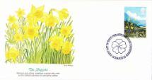 21.03.1979
Spring Flowers
Daffoldils
Fleetwood