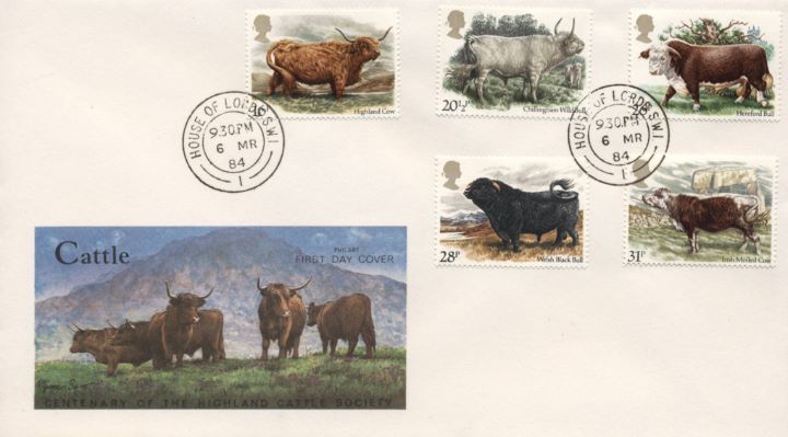 British Cattle, Highland Cattle