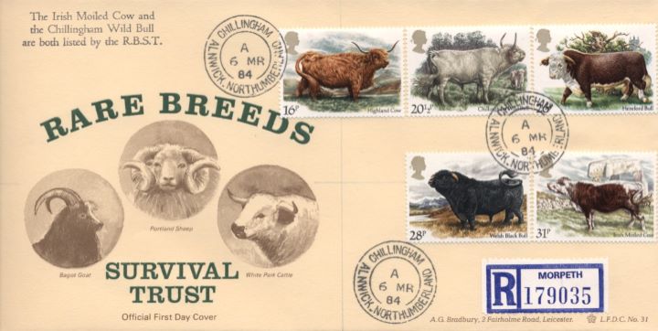 British Cattle, Rare Breeds Survival Trust