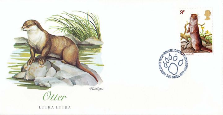 British Wildlife, Otter