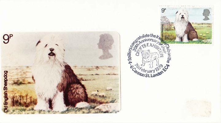 British Dogs, Old English Sheepdog