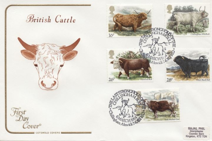 British Cattle, Bull