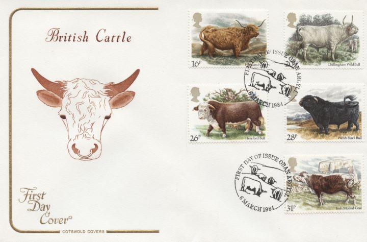 British Cattle, Bull