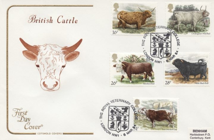 British Cattle, Bull