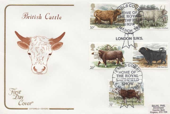 British Cattle, Bull