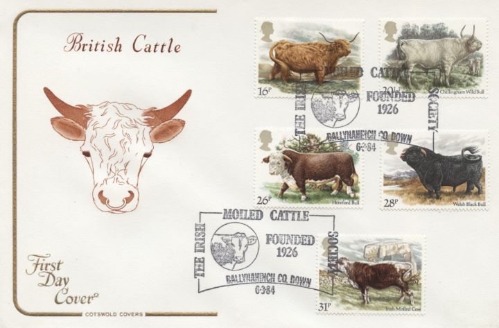 British Cattle, Bull