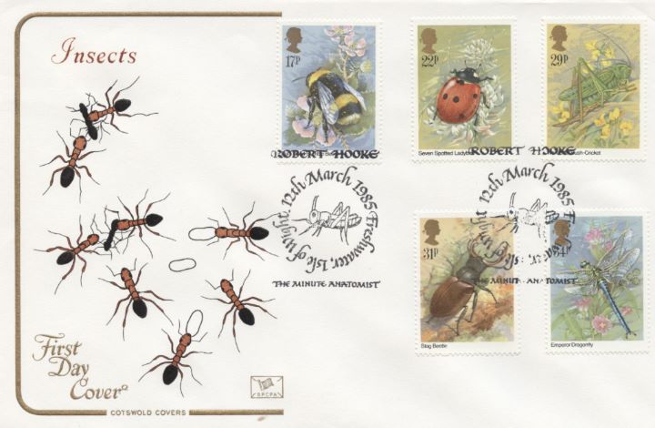 British Insects, Ants