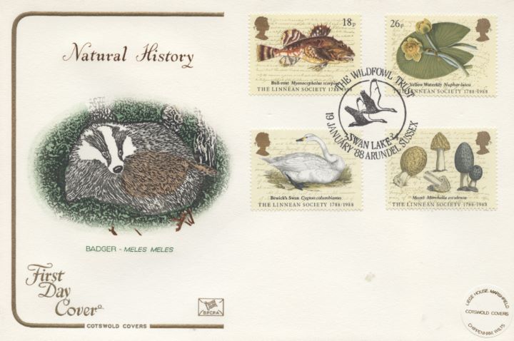 Linnean Society, The Badger