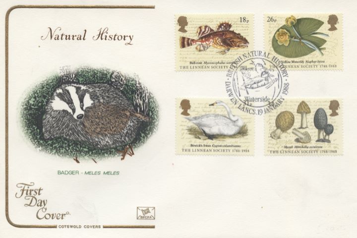 Linnean Society, The Badger