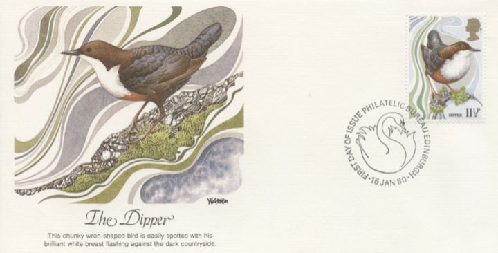 British Birds 1980, The Dipper