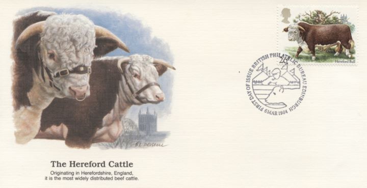 British Cattle, The Hereford Cattle