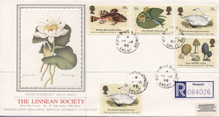 Linnean Society, White Waterlily