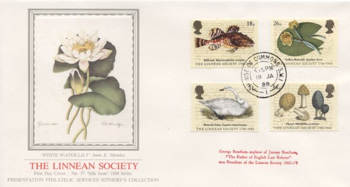 Linnean Society, White Waterlily