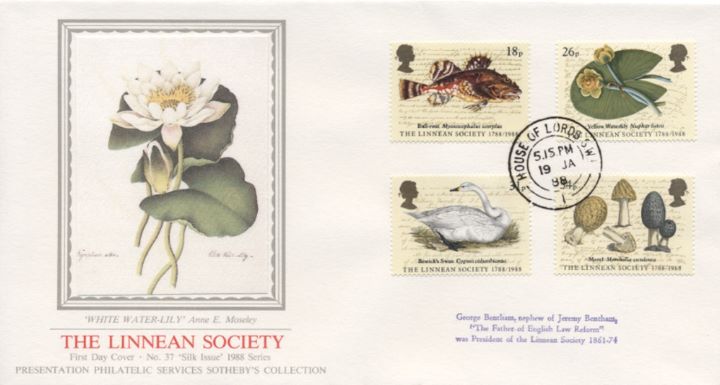 Linnean Society, White Waterlily