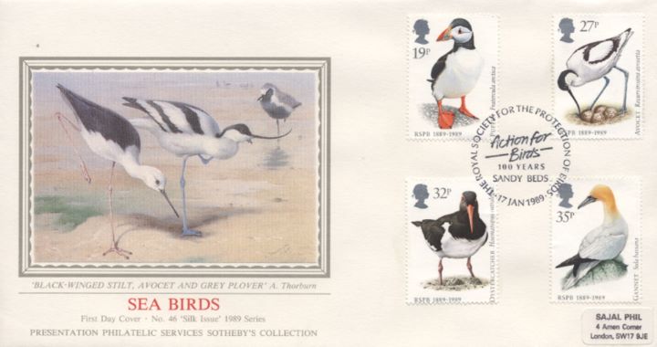 Sea Birds, Stilt,  Avocet &  Plover