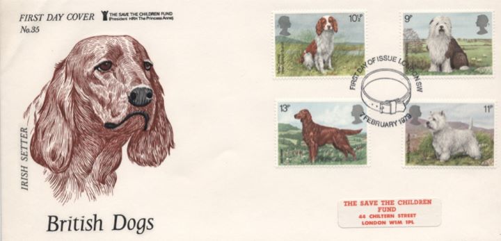 British Dogs, Irish Setter