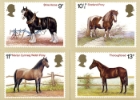 Shire Horse Society