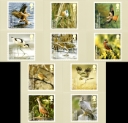 Birds (Endangered Species)