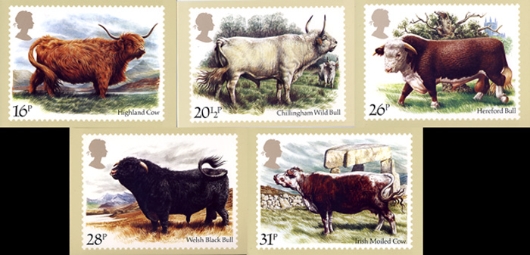 British Cattle