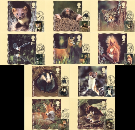 Woodland Animals