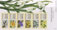 British Flora: Series No.1, Spring Blooms