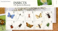 British Insects