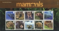 Mammals